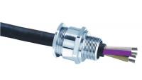 10G057 Cable Gland, HazLoc, Unarmored Cable, 2In