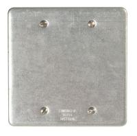 10H381 Cover, Blank Cover, 2Gang, Steel