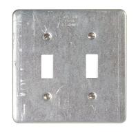 10H393 Cover, Toggle Flush Switches, 2Gang, Steel