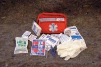11C641 First Aid Kit, Fanny Pack, 45 Unit