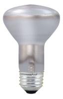 11D008 Incandescent Floodlight, R20, 30W