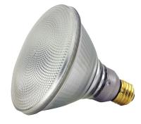 11D010 Halogen Floodlight, PAR38, 90W