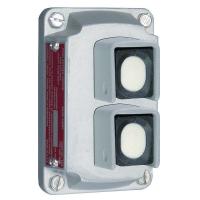 12F538 Cover, Push Button2 Circuit Universal