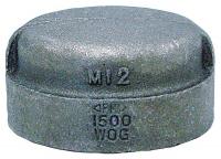 12G112 Cap, 1/4 In, Threaded, Malleable Iron
