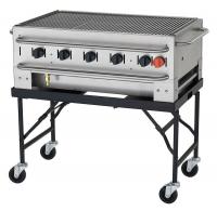 12H028 Portable Gas Grill, BtuH 79500