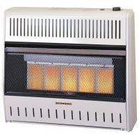 12H990 Portable Gas Heater, Dual Fuel, 30000 BtuH