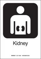 12L145 Kidney Sign, 10 x 7 In, SS