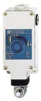 12N825 Cable Pull Switch, 240VAC, 10AMP