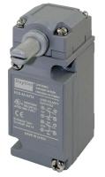 12T879 Heavy Duty Lmt Switch, Side Actuator, DPDT