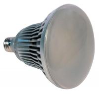 13R392 LED Reflector Lamp, R40, 6500K, Daylight