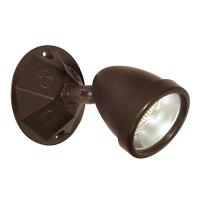 13T372 Wet Location Remote Head, 1 Lamp, 6V, 5W