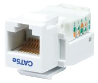 13U612 Datacom Jack, Cat5, Tooless, White