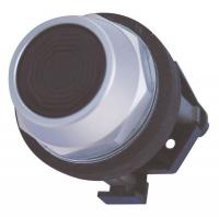 13Z548 Pushbutton, Flush, Black, 1NC