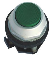 13Z568 Pushbutton, Extended, Green, 1NO-1NC