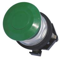 13Z583 Pushbutton, Mushroom, Green, 1NO-1NC