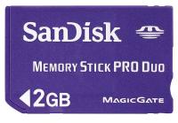 14F791 PRO Duo Memory Stick, 2 GB