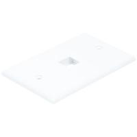 14J390 WallPlate, Blank Keystone, 1 Hole, White