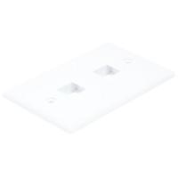 14J392 WallPlate, Blank, 2 Hole, White