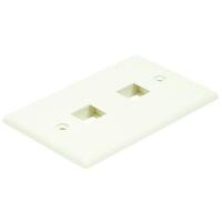 14J393 WallPlate, Blank, 2 Hole, Ivory