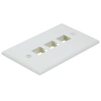 14J395 WallPlate, Blank, 3 Hole, Ivory