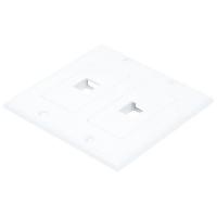 14J401 WallPlate, Blank, 2 Hole, 2 Gang, White