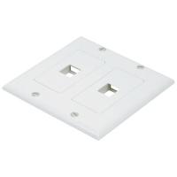 14J402 WallPlate, Blank, 2 Hole, 2 Gang, Ivory