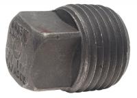 14J748 Square Head Plug, 2 In