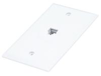 14W979 DC WallPlate, RJ45, 8P8C, 1P, Flush, Wht