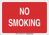 14Z481 Sign, No Smoking, 10 x 14 In.