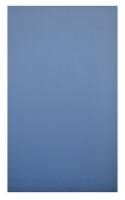 15W554 Toilet Partition Door, 24x58, Blue