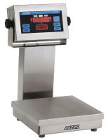 15W656 Checkweigher Scale, 304 SS Pltfrm, 2lb Cap