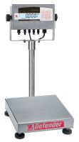 15X528 Precision Bench Scale, SS Pltfrm, 50 lbCap