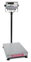 15X535 Prcision Bench Scale, SS Pltfrm, 150 lbCap