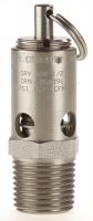 15X886 Safety Valve, Soft Seat, 1/2In, 300 PSI, SS