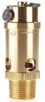 15X932 Safety Valve, Soft Seat, 1 In, 275 PSI