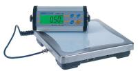 15Y048 Weighing Scale, SS Pltfrm, 6000g/13 lb Cap