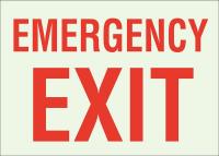 15Y796 Emergency Exit Sign, 10 x 14In, R/GRN, ENG