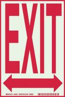 15Y821 Exit Sign, 14 x 10In, R/GRN, Exit, ENG, SURF