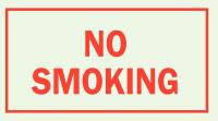 15Y839 No Smoking Sign, 10 x 14In, R/GRN, ENG, Text