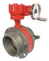 15Z180 Butterfly Valve, 6 In FNST, 6 In MNST