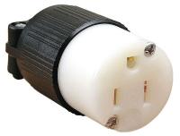 16W275 Plug, 5-15 NEMA, 15 A