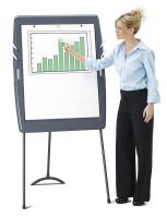 16W880 Portable Flipchart Easel, Charcoal