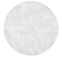 16Z109 Filter Membrane, 0.2 Micron, 47mm, PK 10
