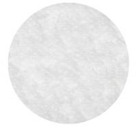 16Z110 Filter Membrane, 0.45 Micron, 47mm, PK 10