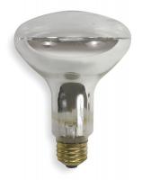 1C544 Incandescent Floodlight, BR30, 100W