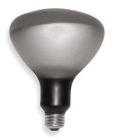 4V673 Incandescent Reflector Lamp, R40, 250W