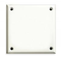 1CFD2 Security Wall Plate, 2 Gang, White, ABS