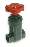 1CNR2 Gate Valve, 1/2 In., FNPT, PVC, Schedule 80