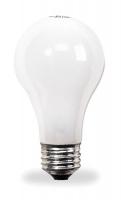 2EAN1 Incandescent Light Bulb, A19, 71W