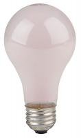 1CWX6 Incandescent Light Bulb, A19, 60W